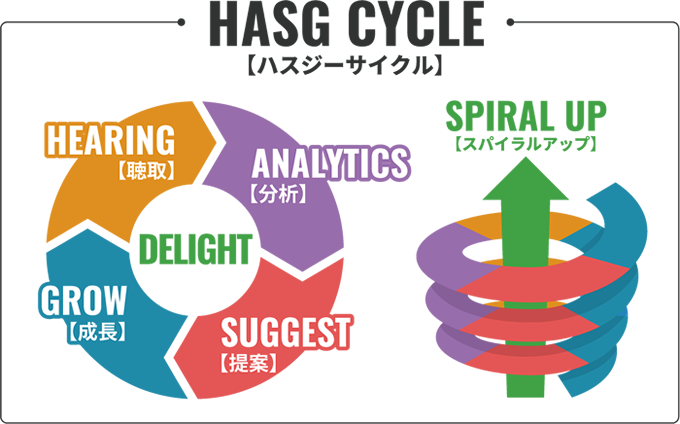 HASG CYCLE